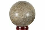 Polished Agatized Dinosaur (Gembone) Sphere - Morocco #189815-1